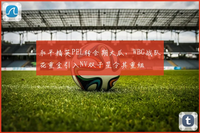 和平精英PEL转会期大瓜,WBG战队花重金引入NV双子星令其重组