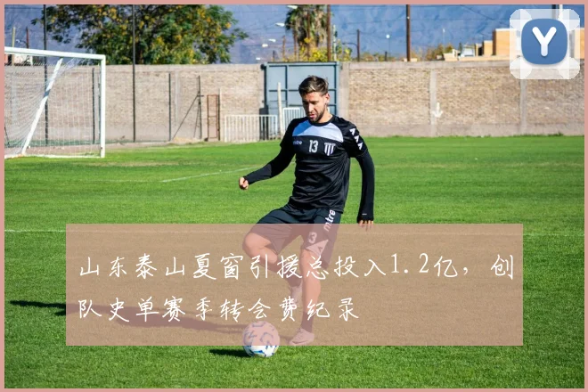 山东泰山夏窗引援总投入1.2亿,创队史单赛季转会费纪录
