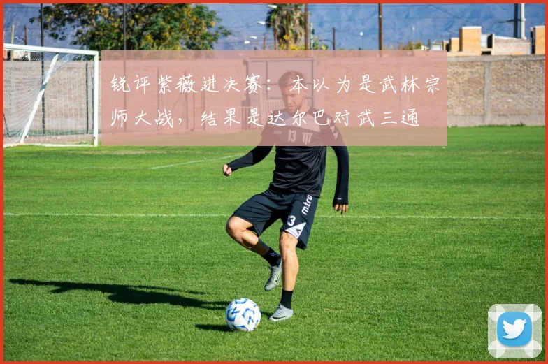 锐评紫薇进决赛：本以为是武林宗师大战，结果是达尔巴对武三通